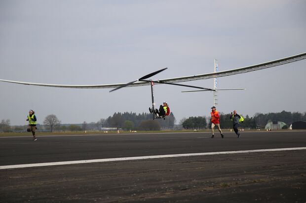 file:Odonata_2.jpg